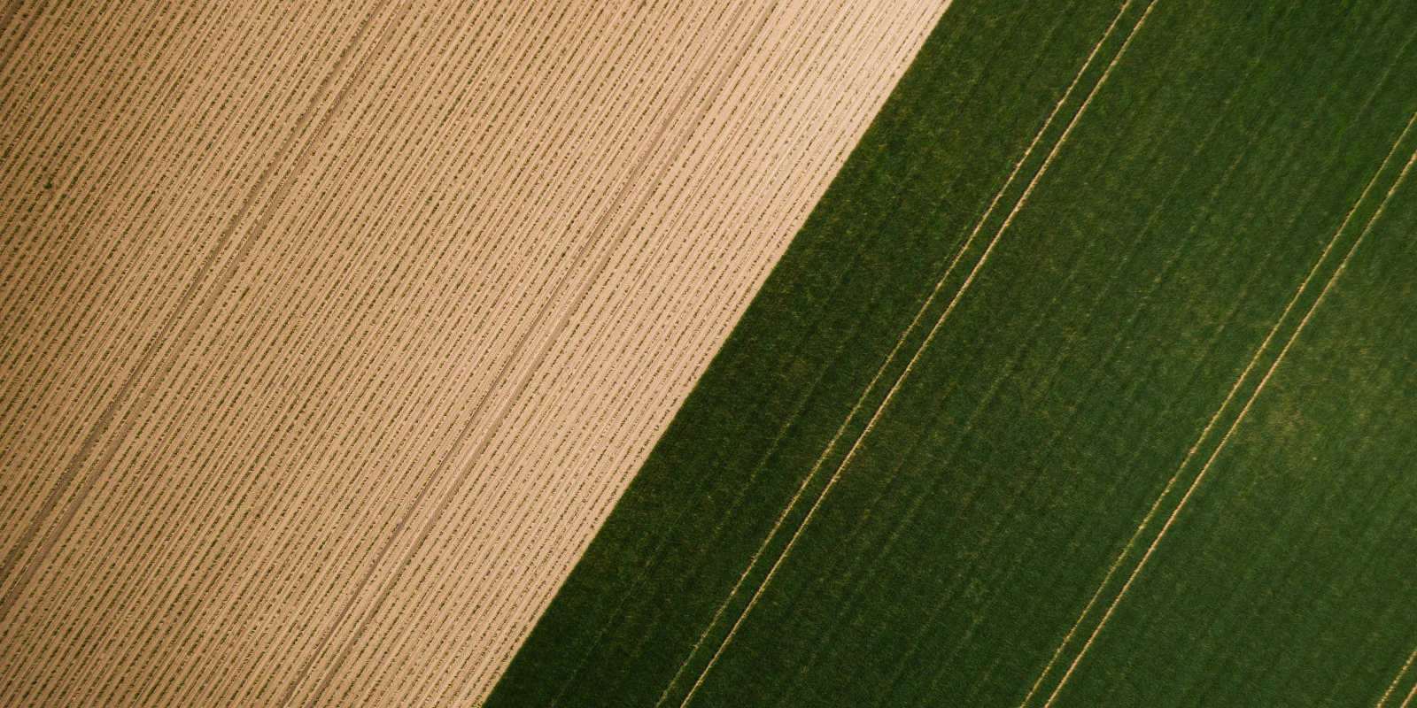 BUT GCGP (Génie Chimique, Génie des Procédés): Rentrée 2023