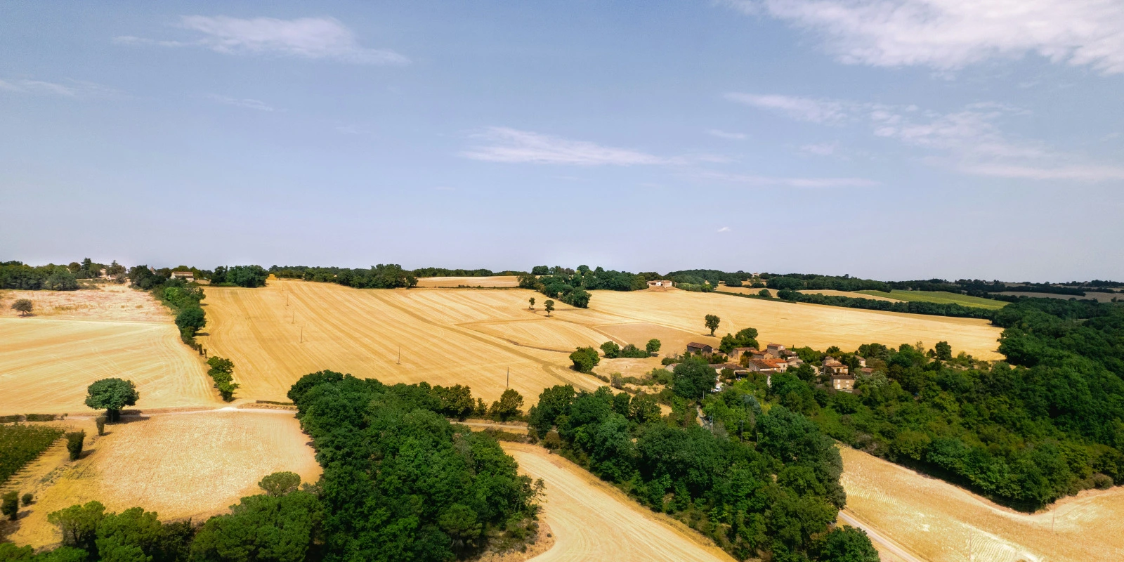BUT GCGP: Programme et Objectifs Pédagogiques