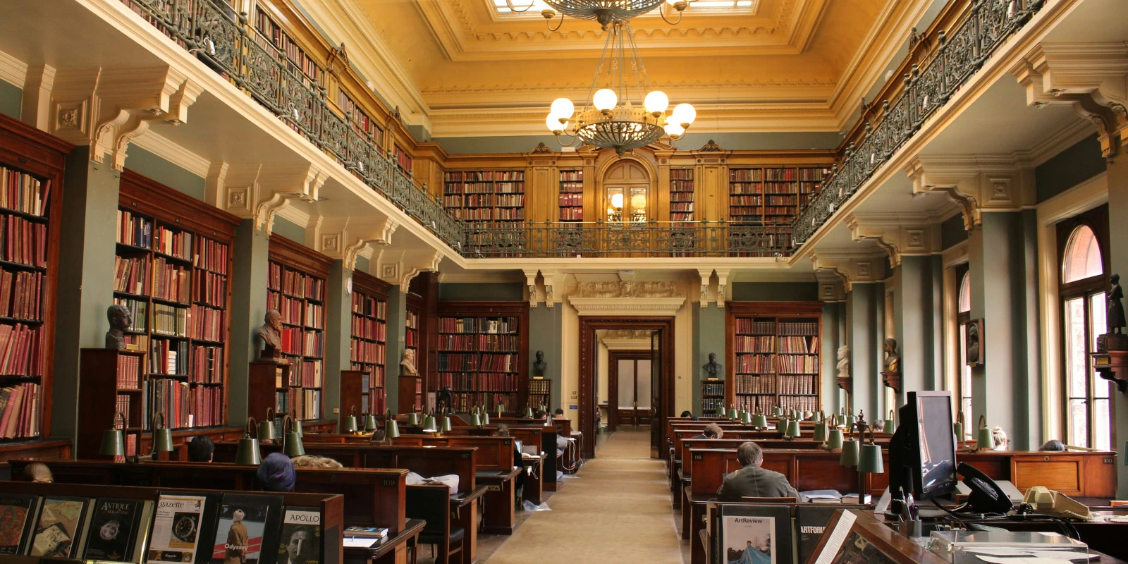 BUT GCGP: Une Voie Vers des Carrières Internationales