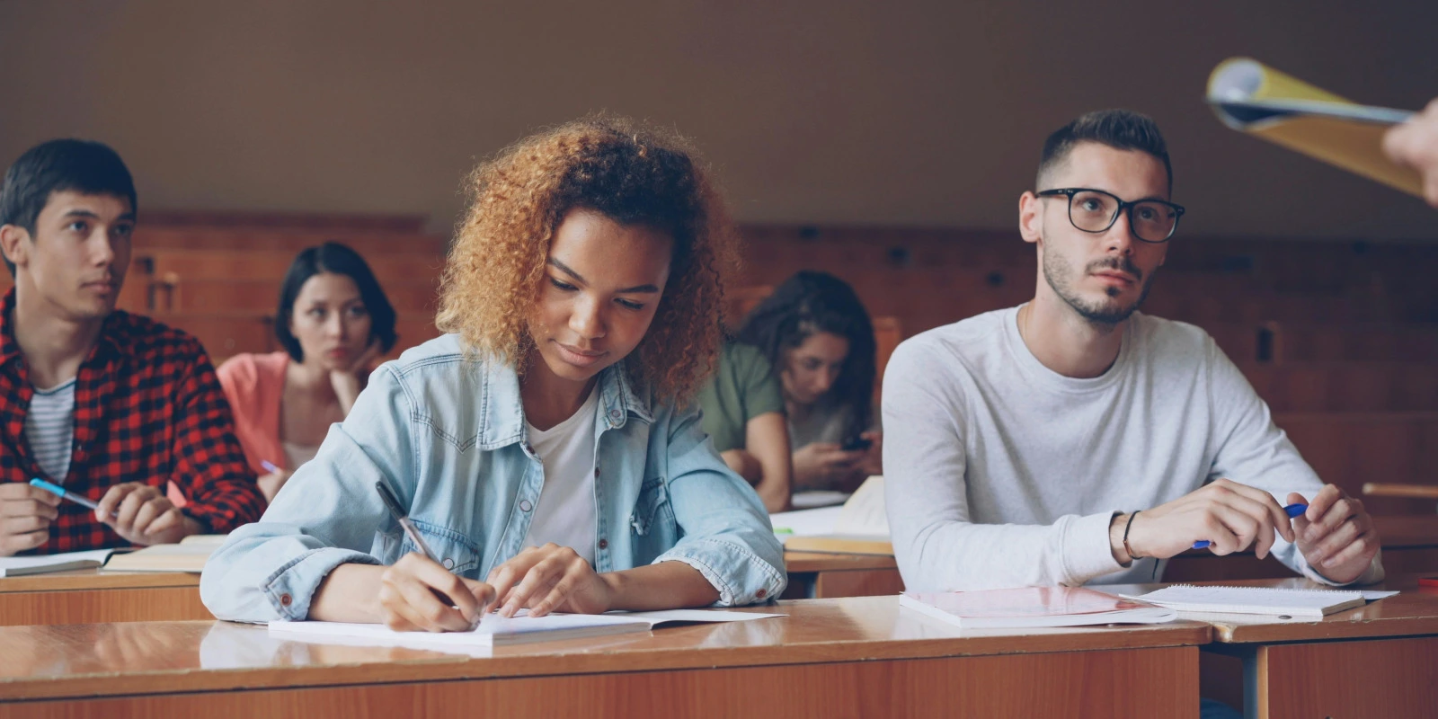 La Formation en Génie Chimique: Structures et Contenus